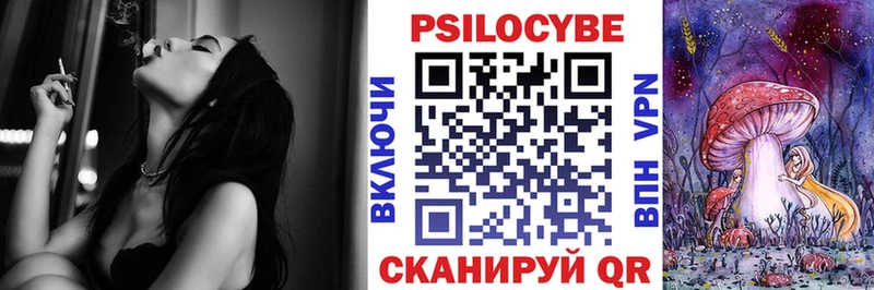 Псилоцибиновые грибы Psilocybe Купить где Аргун