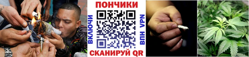 Бошки Шишки MAZAR  Купить где  Аргун 